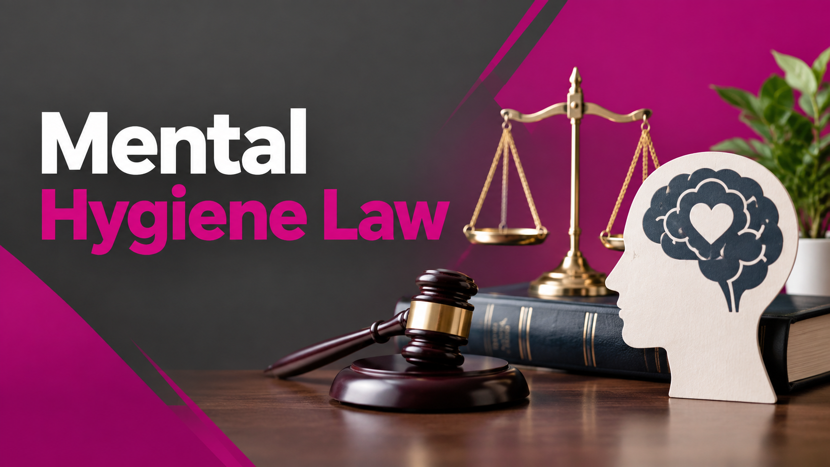 Mental Hygiene Law
